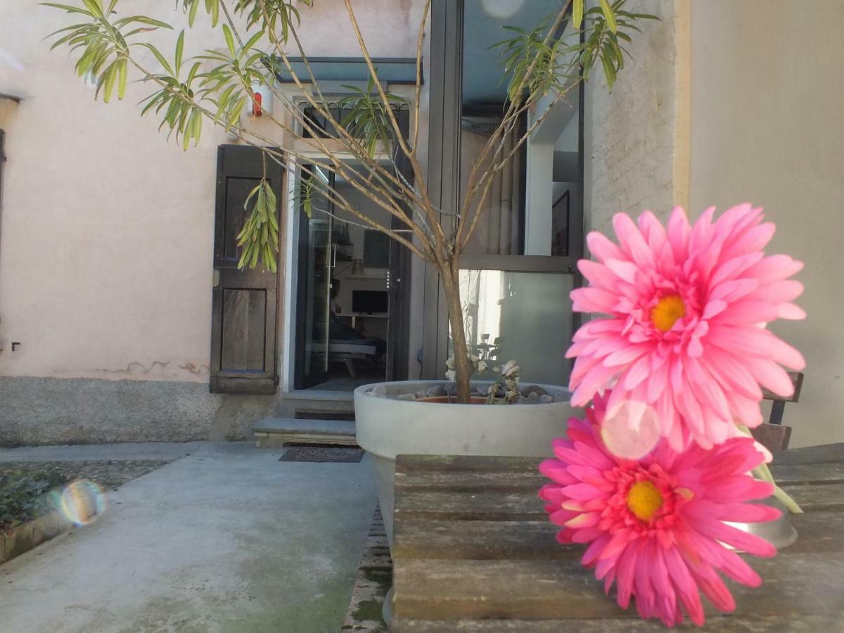 Appartamento LOFT GARDEN in Bologna's heart OSPEDALE RIZZOLI Esterno foto
